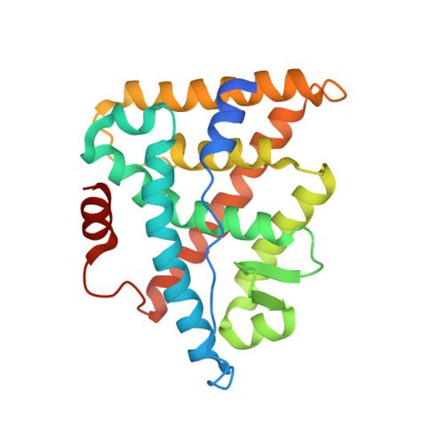 Rcsb Pdb A K Crystal Structure Of Estrogen Related Receptor Err