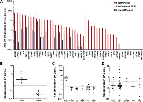 Germ Cellspecific Proteins Akap And Aspx Facilitate Identification Of