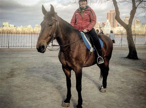 Chateau Stables Nyc Horseback New York City All You Need To Know