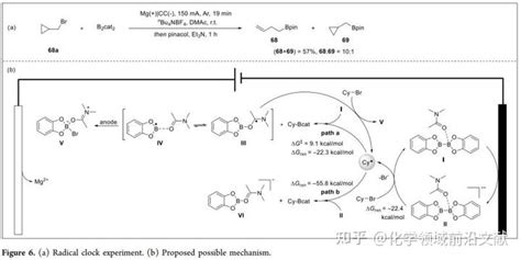 武汉大学陆庆全教授团队和戚孝天教授团队jacs：烷基卤代物的电化学硼化反应——快速、规模化制备烷基硼化合物 知乎