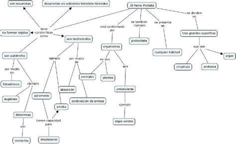 Get Reino Protista Mapa Conceptual Cortos Background Diente Porn Sex Picture