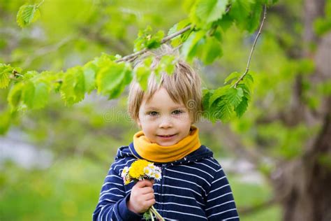 Beau Gosse Blond Enfant Mignon Garçon Couché Dans L herbe Photo stock