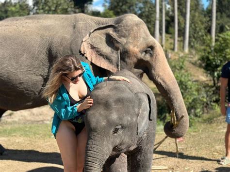 Chiang Mai Waterfall Elephant Sanctuary And Rafting Tour GetYourGuide