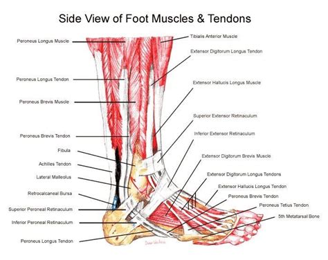 pin  custom  orthotics