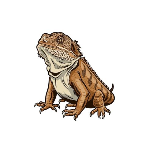 Premium Vector Bearded Dragon Vintage Vector Illustration