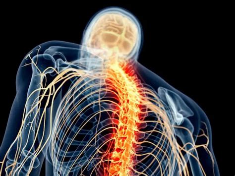 Spinal tumors – symptoms, diagnosis and treatment – Cancer Blog