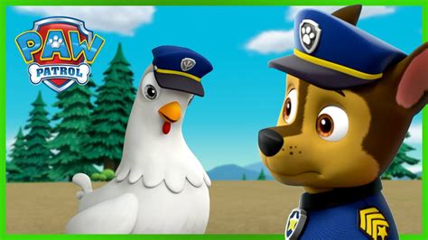 Paw Patrol Chickaletta