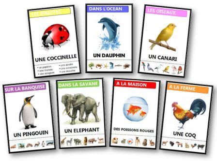 Jeux Des Familles Gratuits Imprimer Sur Les Animaux La Nourriture