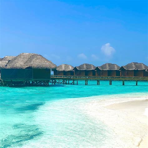 #fihalhohi_resort_maldives hashtag on Twitter