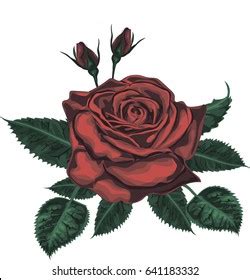 Red Rose Vector Art Stock Vector (Royalty Free) 641183332 | Shutterstock