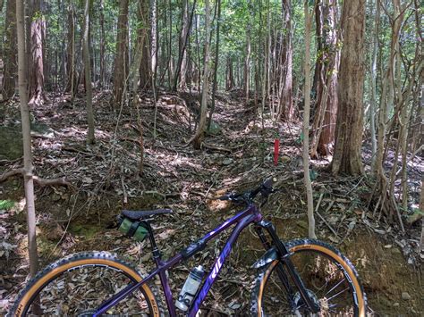 前回のトレイルをリバース セオサイクル浜松店 自転車屋 浜松市 中区 静岡文化芸術大学すぐ横 自転車専門店 セオ