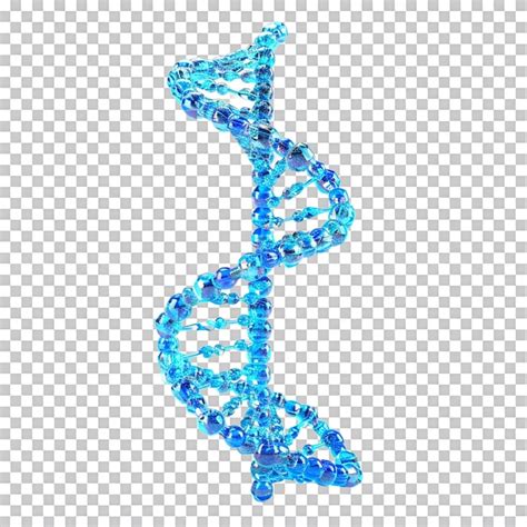 Premium PSD Blue 3D DNA Helix Isolated On Transparent