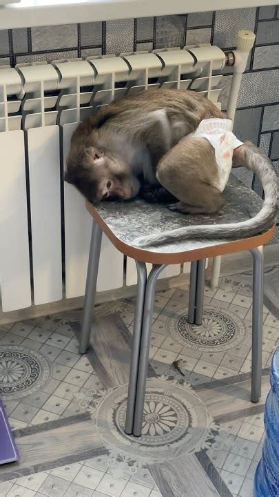 Когда хочешь спать, но не можешь уснуть😄Больше виде ов нашем тг канале ...