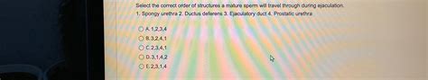 Solved Select The Correct Order Of Structures A Mature Sperm Chegg