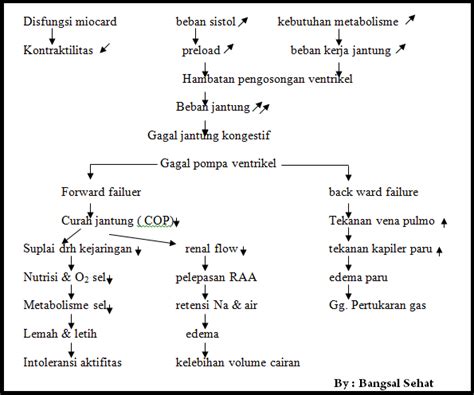 √ Patofisiologi Dan Pathway Chf Format Doc Blog Ruangguru
