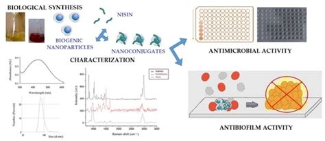 Chemistry Free Full Text Biogenic Silver Nanoparticles Conjugated