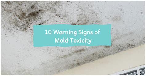 10 Warning Signs Of Mold Toxicity Food Mind Heal