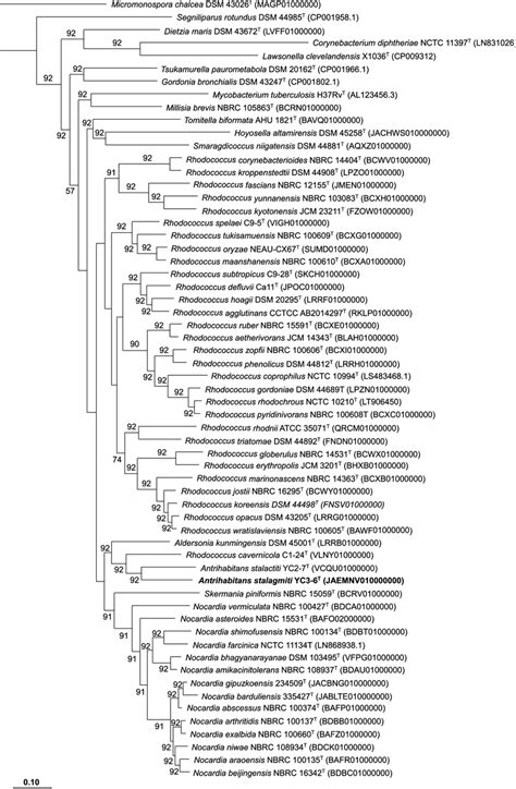 Phylogenomic Tree Based On Core Gene Sequences Showing The Position