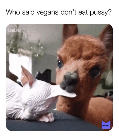Lion Eating Pussy Meme