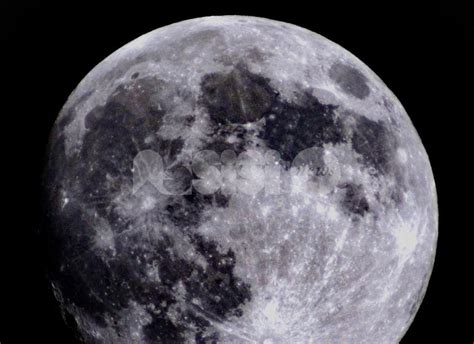 A Porziano La Notte Internazionale Dellosservazione Della Luna