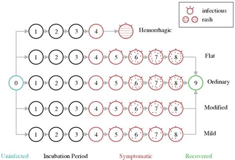 Smallpox stages used in the simulation model. Flat and ordinary... | Download Scientific Diagram