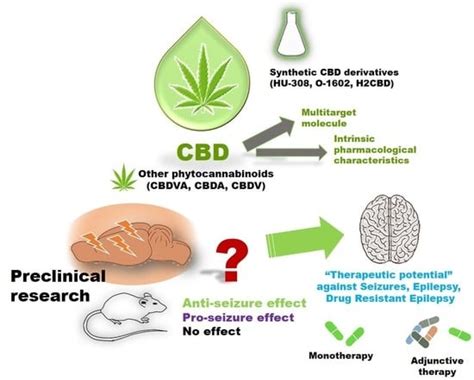 Ijms Free Full Text Advances And Challenges Of Cannabidiol As An Anti Seizure Strategy