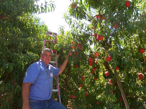 Discover the Flavor of Family Tree Farms - Four Seasons