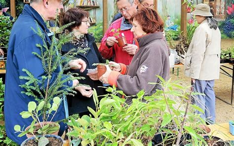 Horticulture Visites De Jardins Et Bourse Aux Plantes Cette Saison