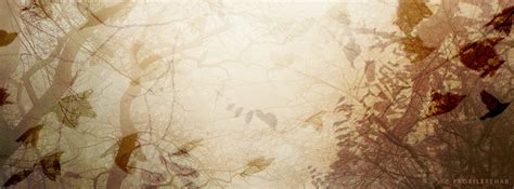 Free Fall Facebook Covers For Timeline Pretty Autumn Season Timeline