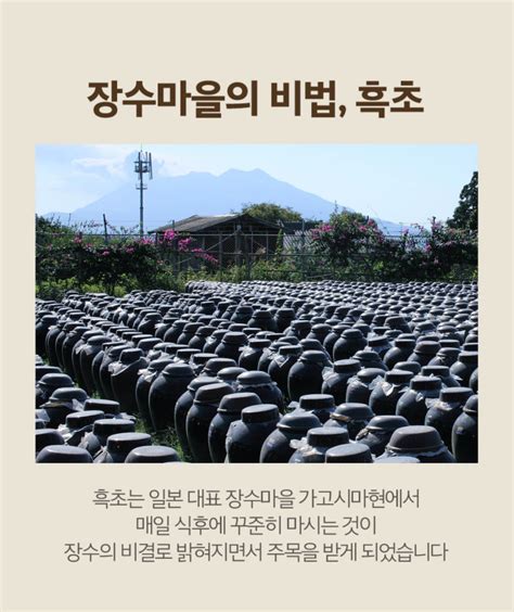 [Sempio] 100% Black Rice Vinegar Drink (Premium) – Gochujar