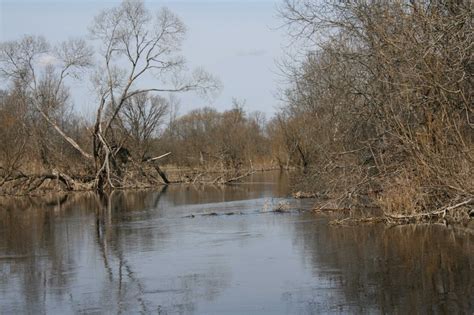 Rmk Alam Pedja Nature Reserve