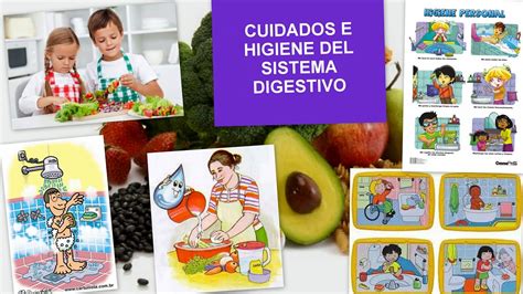 Sistema Digestivo En El Hombre Cuidados E Higiene Del Sistema Digestivo