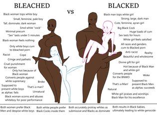 Bnwo Memes More Luscious Hentai Manga Porn