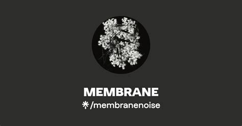Membrane Instagram Facebook Linktree