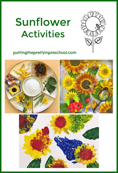 Sunflowers Archives Putting The Pretty In Preschool