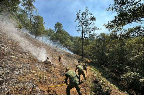 Sofocan 38 Incendios Forestales En Hidalgo Entre Mayo Y Junio