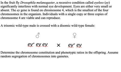 Solved In The Fruit Fly Drosophila Melanogaster A Recessive