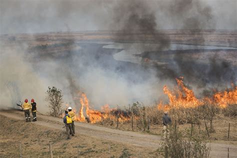 Reporte Oficial Por Los Incendios En Argentina Cinco Focos Extinguidos