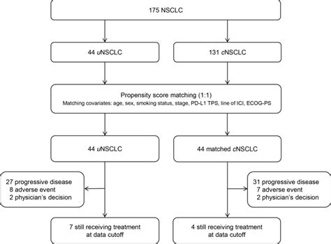 Diagram Of Study Patients Ecog Ps Eastern Cooperative Oncology Group