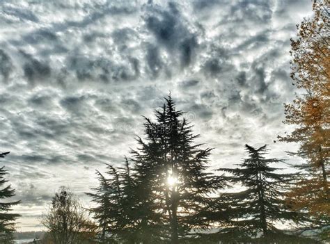 Washington Clouds Over Seattle Stock Photo Image Of Tourism