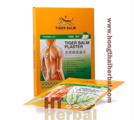 Tiger Balm Medicated Plaster Coolsmall 10x7cm 2 Plasters