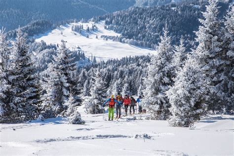 Ski Area Folgaria Lavarone Paradiso Dello Sci Sull Alpe Cimbra