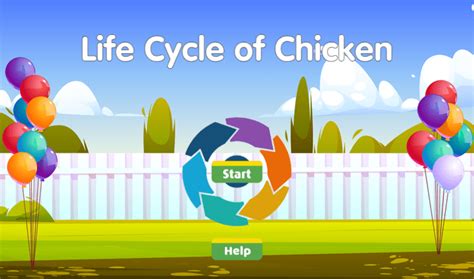 Animal Life Cycle Games