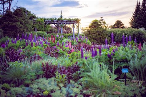 Home Coastal Maine Botanical Gardens