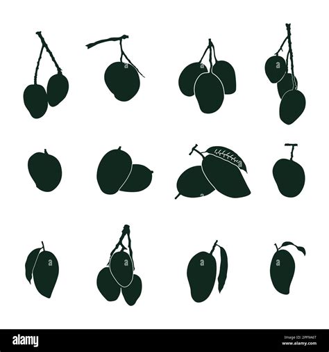 Cartoon Mango Tree Fruit Hi Res Stock Photography And Images Alamy