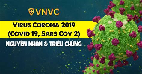 Virus Corona Covid Sars Cov Vnvc