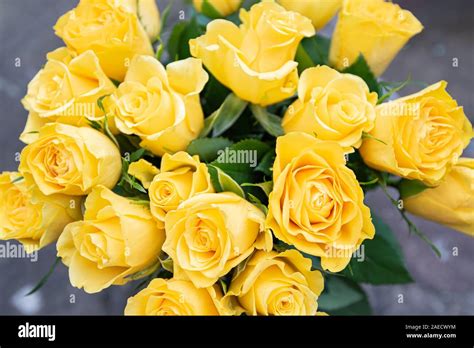 Bouquet of yellow roses. - Image Stock Photo - Alamy