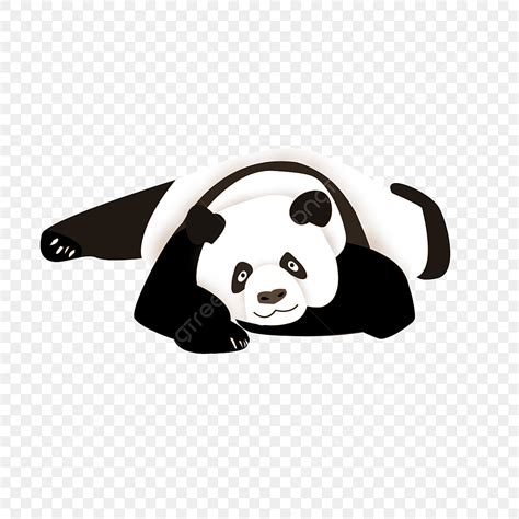 Sleeping Panda Clipart Transparent PNG Hd Cute Simple Black And White