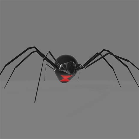 3d Spider 3d Model Model Turbosquid 1923741