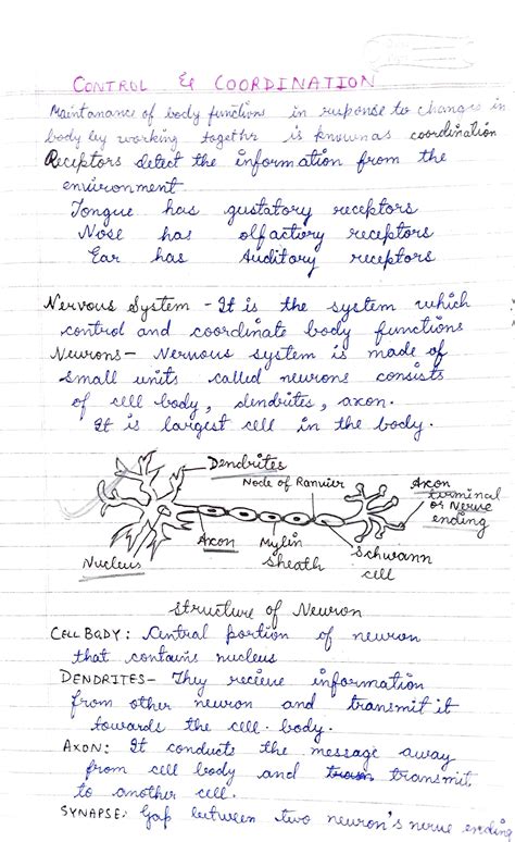 Solution Control And Coordination Cbse Class 10 Notes Biology Studypool